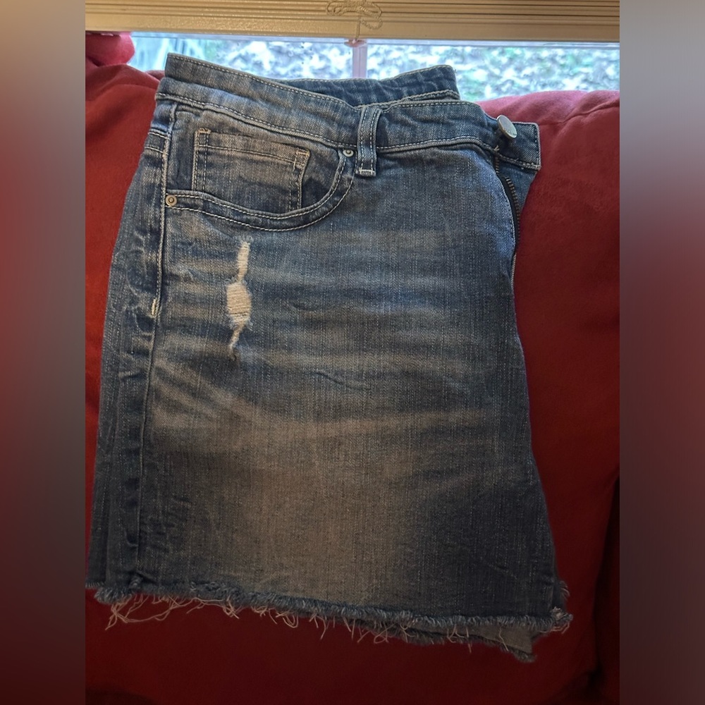 BKE Payton Denim Shorts